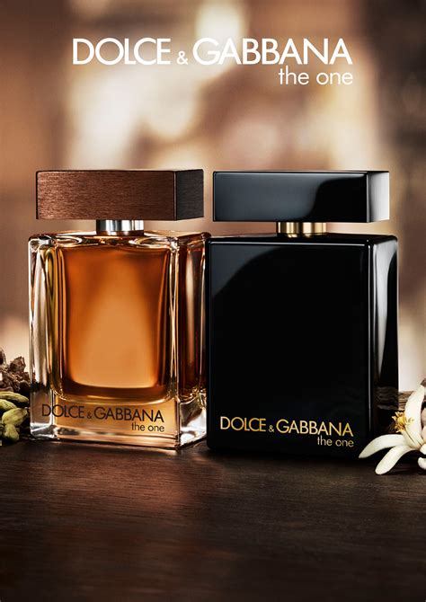 dolce and gabbana the one men's cologne.